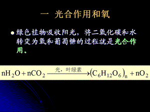 生命体及高分子材料的老化.ppt