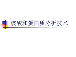 核酸和蛋白质分析技术.ppt