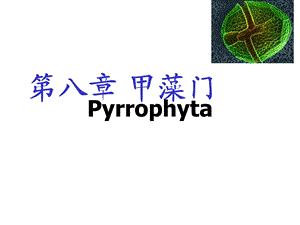 水生生物学第八章甲藻门.ppt