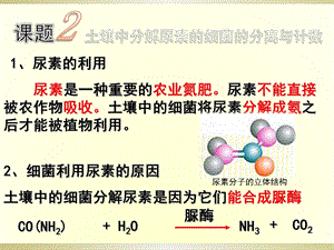 2.2土壤中分解尿素的细菌的分离与计数课件冯惠坚.ppt