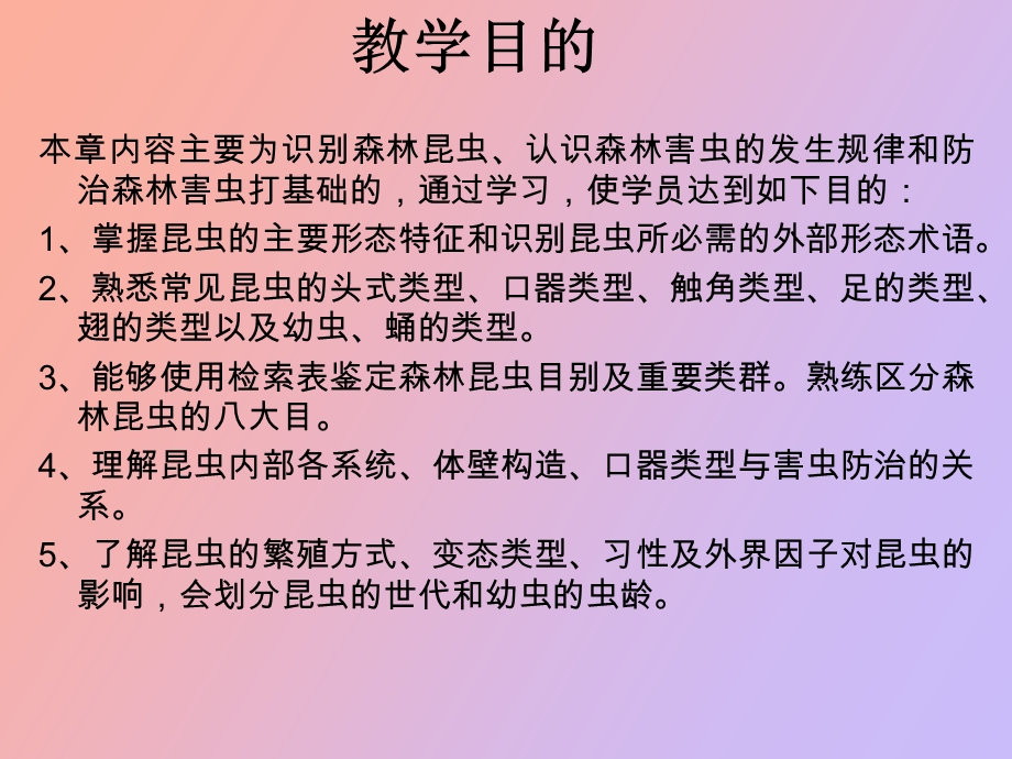 森林昆虫知识.ppt_第2页