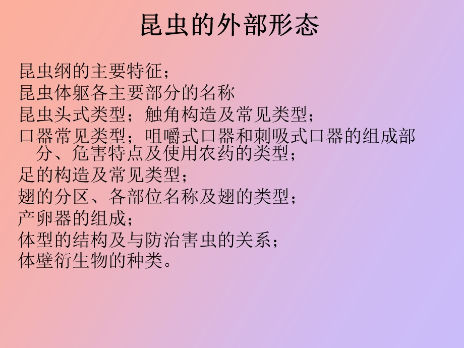 森林昆虫知识.ppt_第3页