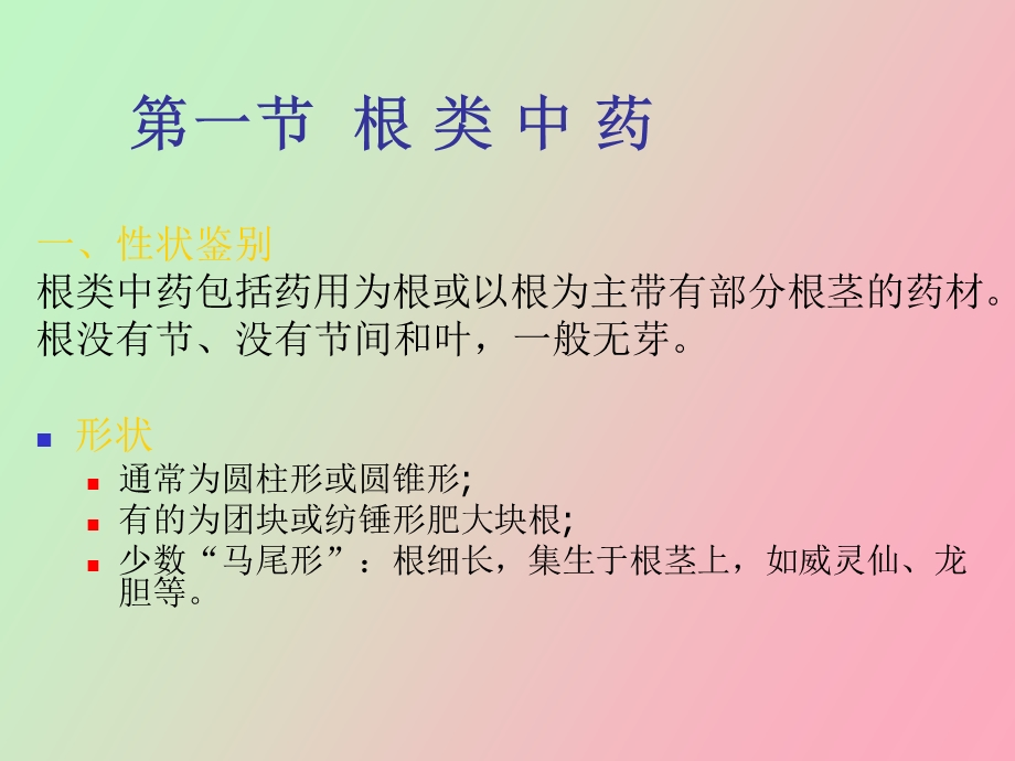 根及根茎中药.ppt_第2页