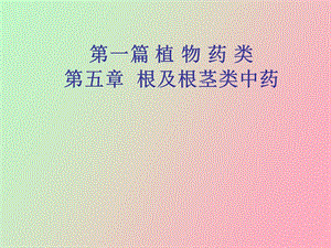 根及根茎中药.ppt