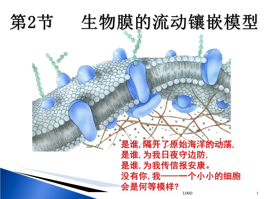 生物膜的流动镶嵌模型好.ppt_第1页