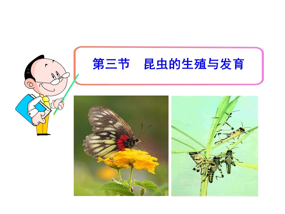 昆虫的生殖与发育课件苏教.ppt_第1页