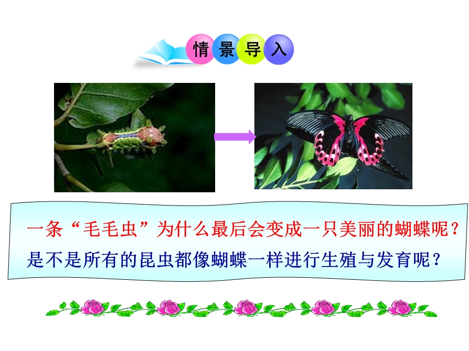 昆虫的生殖与发育课件苏教.ppt_第2页