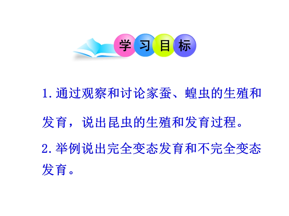 昆虫的生殖与发育课件苏教.ppt_第3页