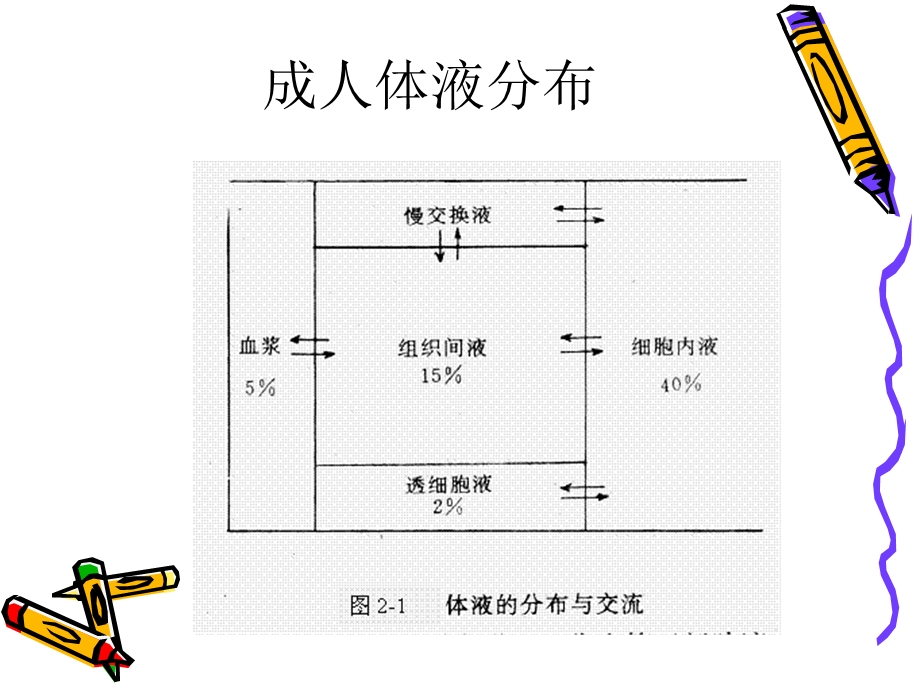 新生儿水、电解质代谢紊乱.ppt_第2页