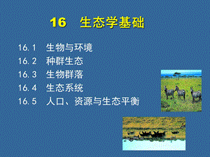 普通生物学16-生态学基础.ppt