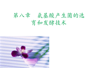 氨基酸产生菌的选育和发酵技术.ppt