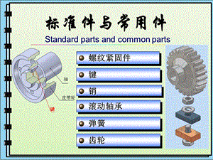 标准件与常用件画法.ppt