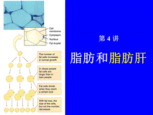 脂肪和脂肪肝PPT课件.ppt