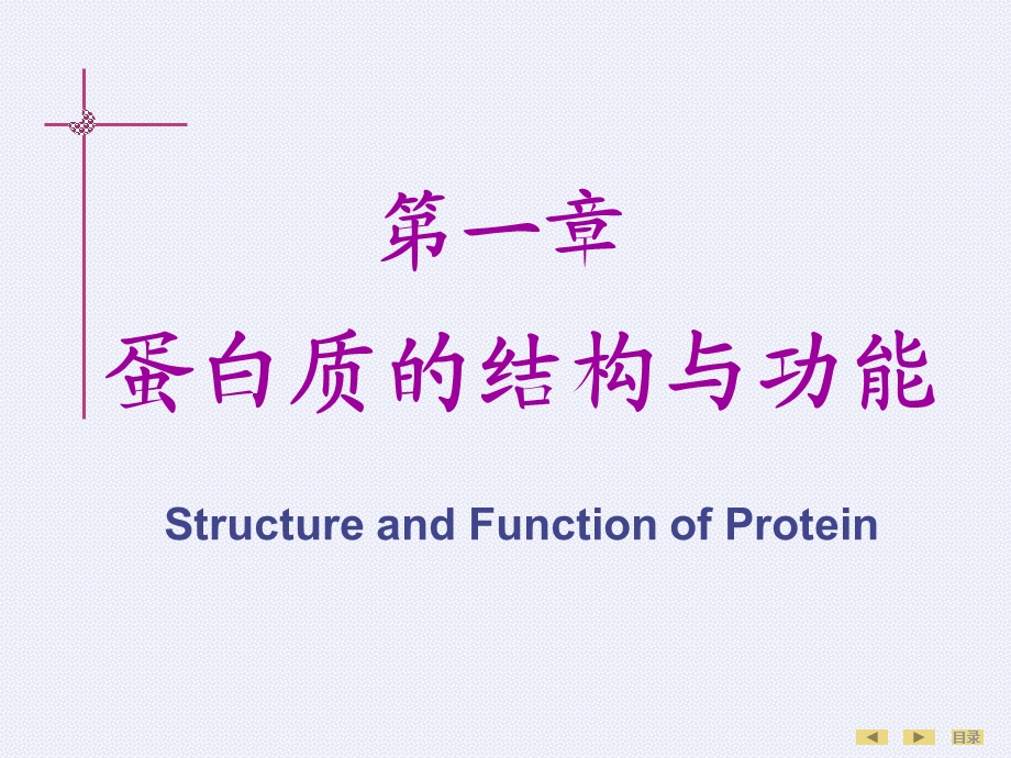 生物化学第01章蛋白质的结构与功能临床5年制第7版.ppt_第2页