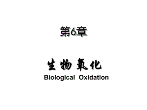 生物氧化-10本科班.ppt