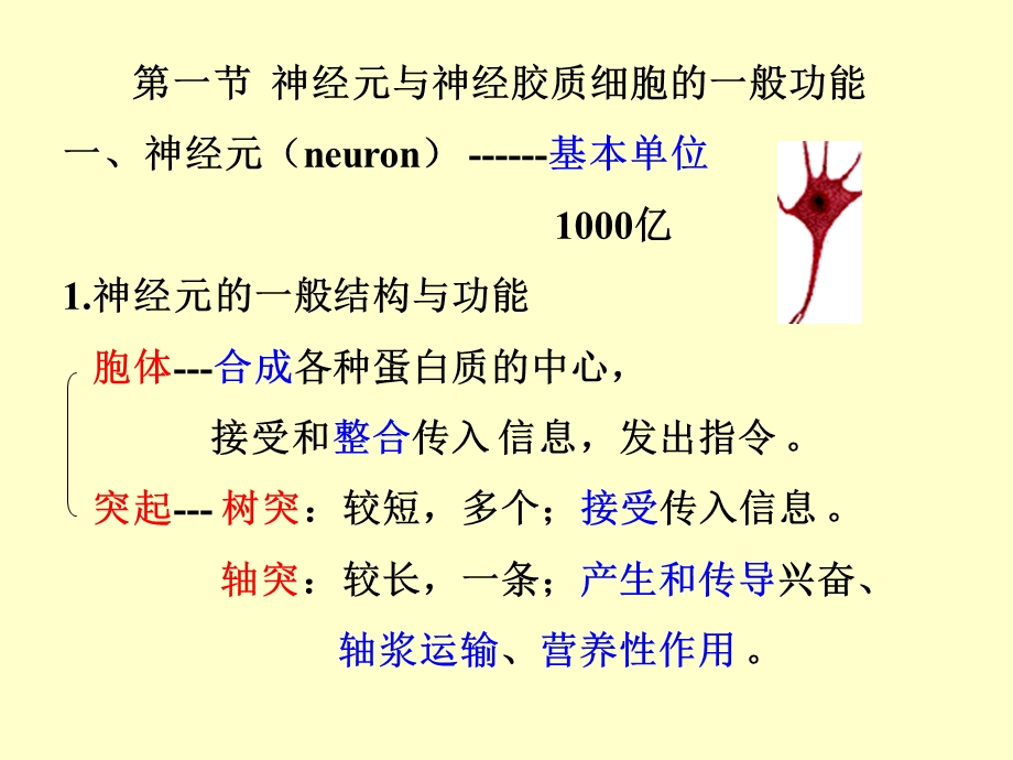 生理学第十章神经系统的功能.ppt_第3页