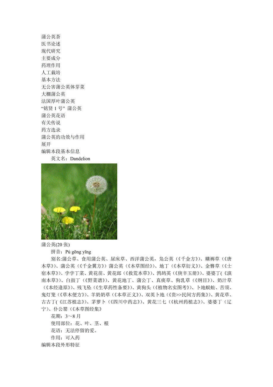 蒲公英属菊科多生草本植物.doc_第2页