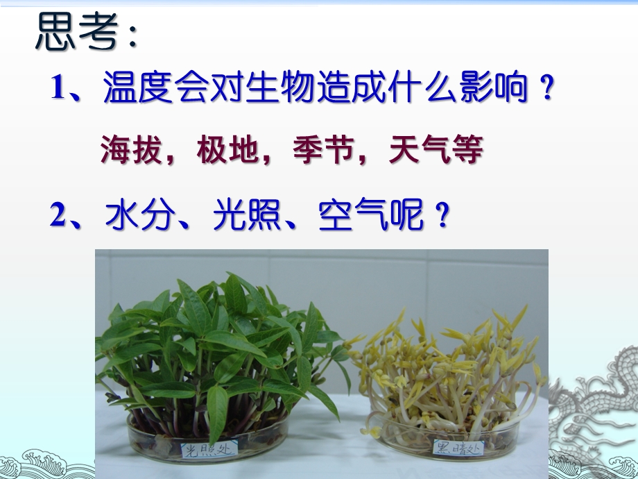 环境与生物的相互作用.ppt_第3页