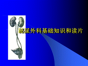 泌尿外科基础知识和读.ppt