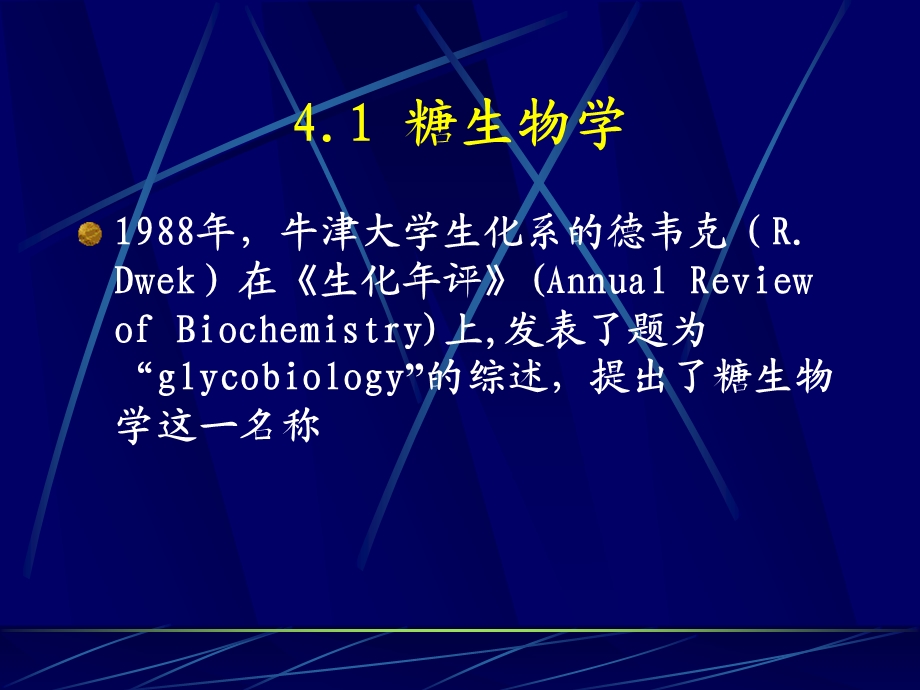 生物化学课件-第四章聚糖的化学.ppt_第2页