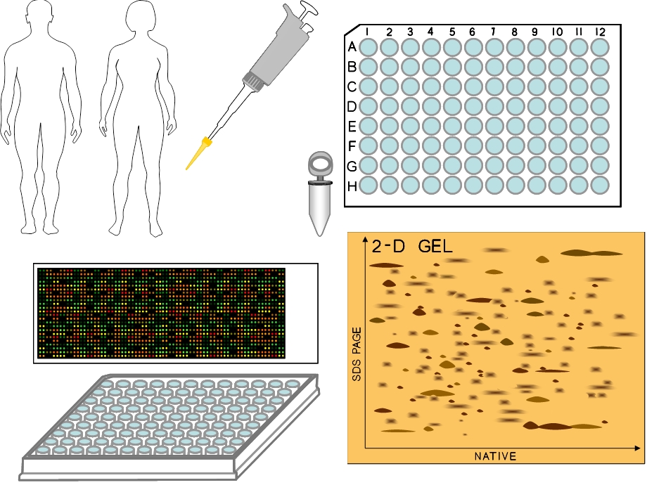 生物化学与分子生物学图片素材.ppt_第3页