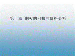 期权的回报与价格分析.ppt