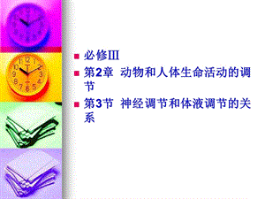 2.3神经调节与体液调节的关系课件王有泽.ppt