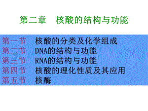 生物大分子的结构与功能核酸篇.ppt