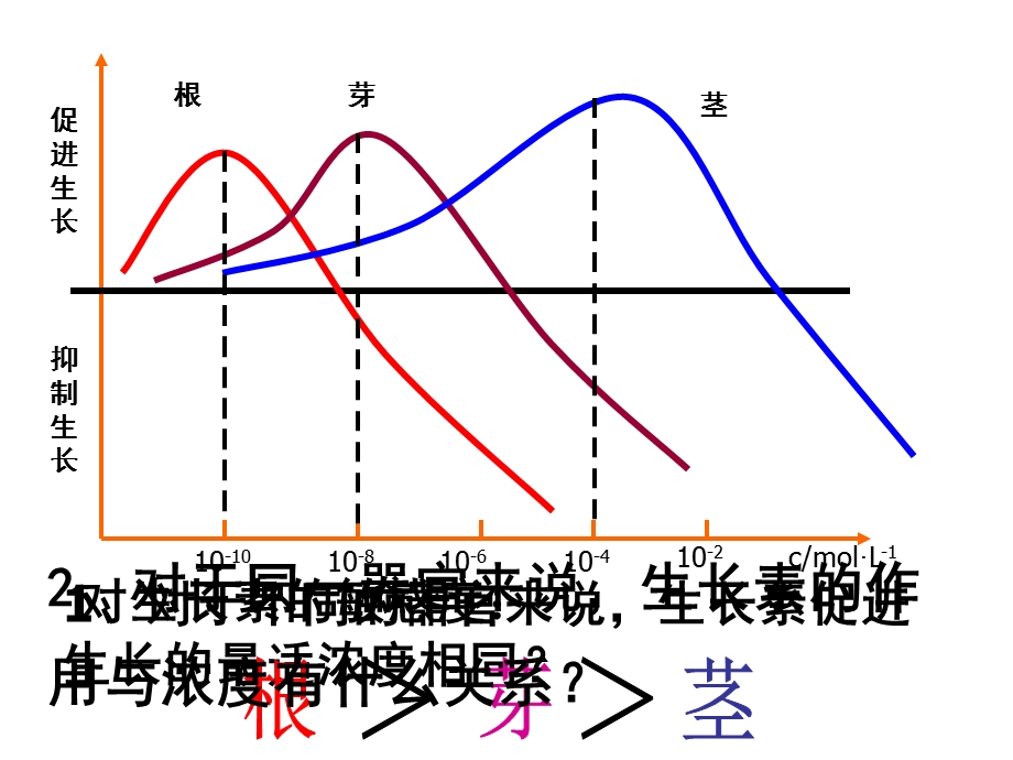 生长素的生理作用t和其他植物激素.ppt_第3页