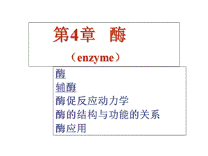 生物化学-酶-生物催化剂.ppt