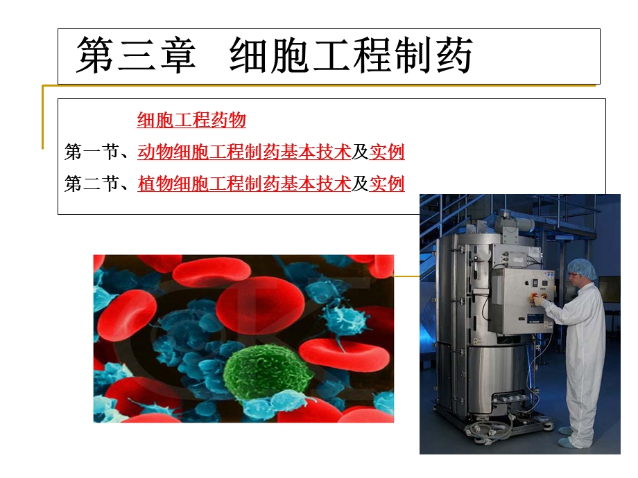 细胞工程制药PPT课件.ppt_第1页