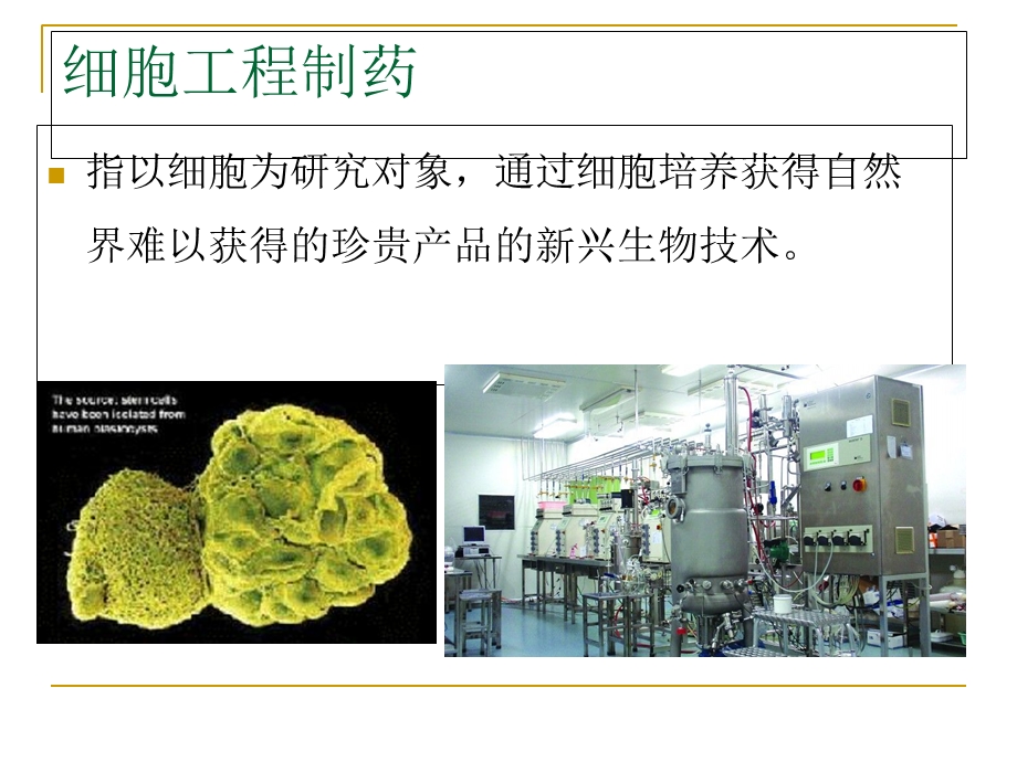 细胞工程制药PPT课件.ppt_第3页