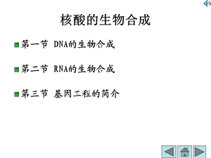 生物化学核酸的合成.ppt