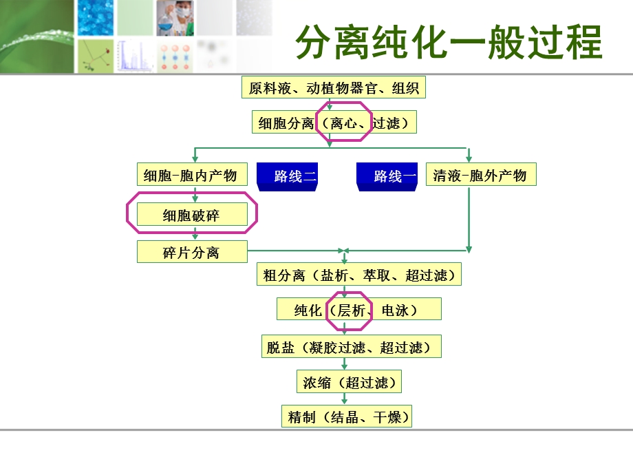 生物化学实验方法及常用仪器介绍.ppt_第3页