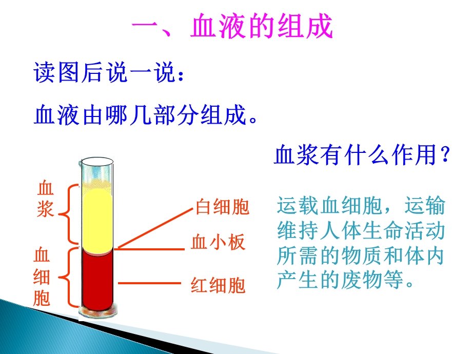 生物课件心脏和血液循环复习.ppt_第3页