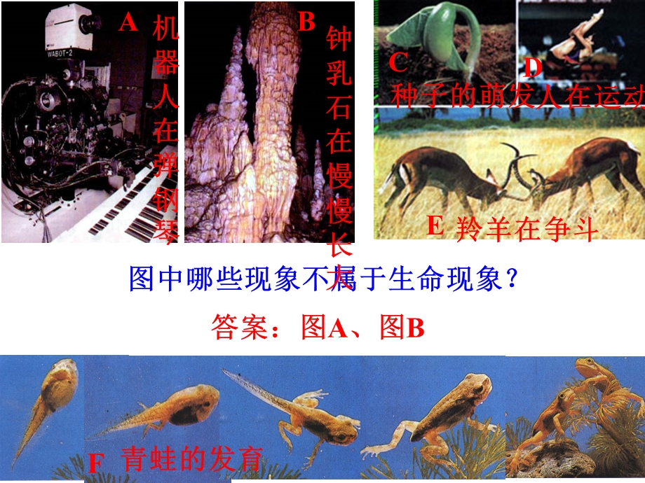 生物和环境的相互影响.ppt_第1页