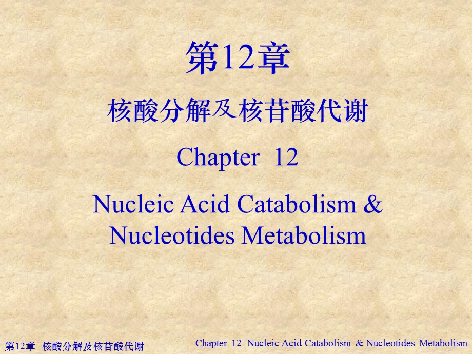 核酸分解及核苷酸代谢A.ppt_第1页