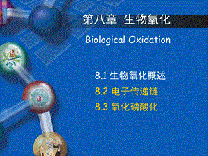 生物化学第五章生物氧化第二节电子传递链.ppt