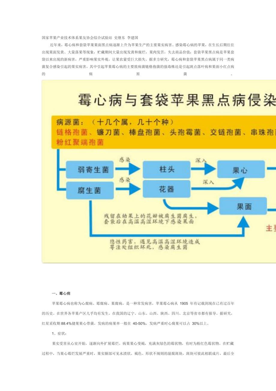 苹果霉心病黑点病插图.doc_第1页