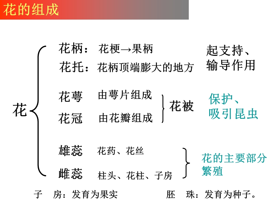 生命科学复习提纲下.ppt_第3页