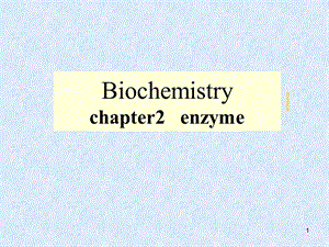 生物化学酶的本质和组成.ppt