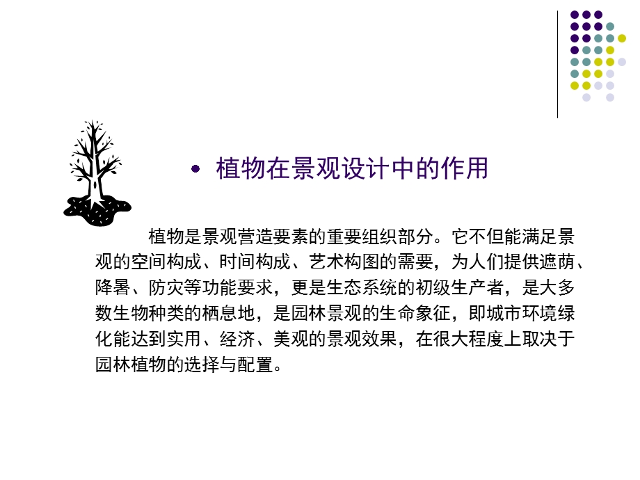 景观设计中的植物空.ppt_第2页