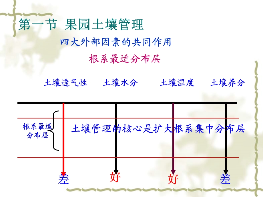 果树土肥水管理(3学时).ppt_第3页