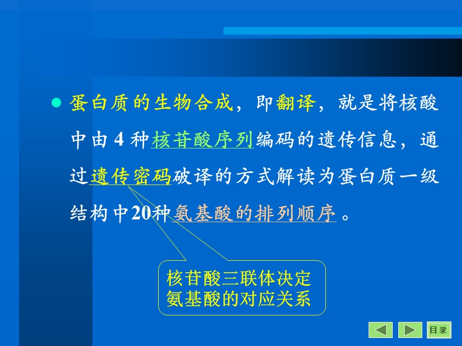 生物化学蛋白质的生物合成翻译.ppt_第2页