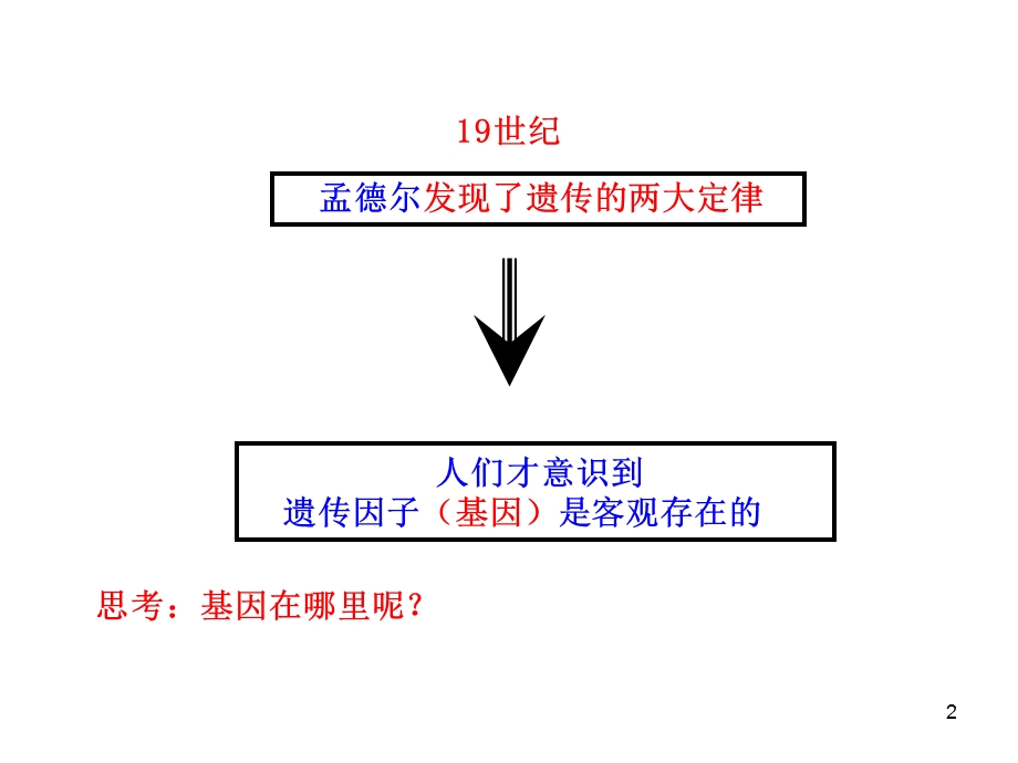 2.2基因在染色体上课件1.ppt_第2页