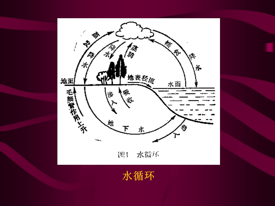 环境与健康的关系.ppt_第3页