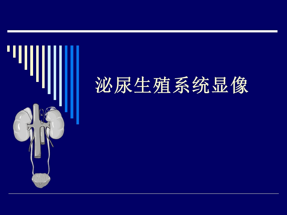 泌尿生殖系统显像PPT课件.ppt_第1页