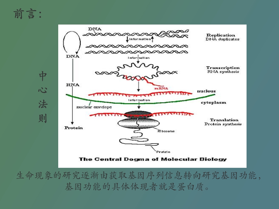 生命科学进展.ppt_第2页