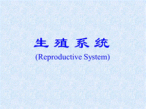 生殖系统ReproductiveSystem.PPT