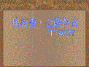 桂枝香金陵怀古最新.ppt